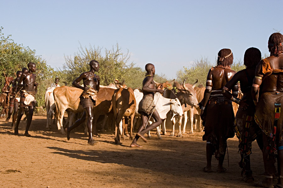 148   Audience and performers in the ceremony before the bull jump